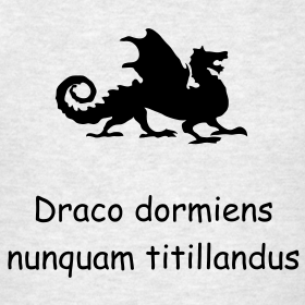 Latin Dragon Never Tickle A Sleeping Dragon Design